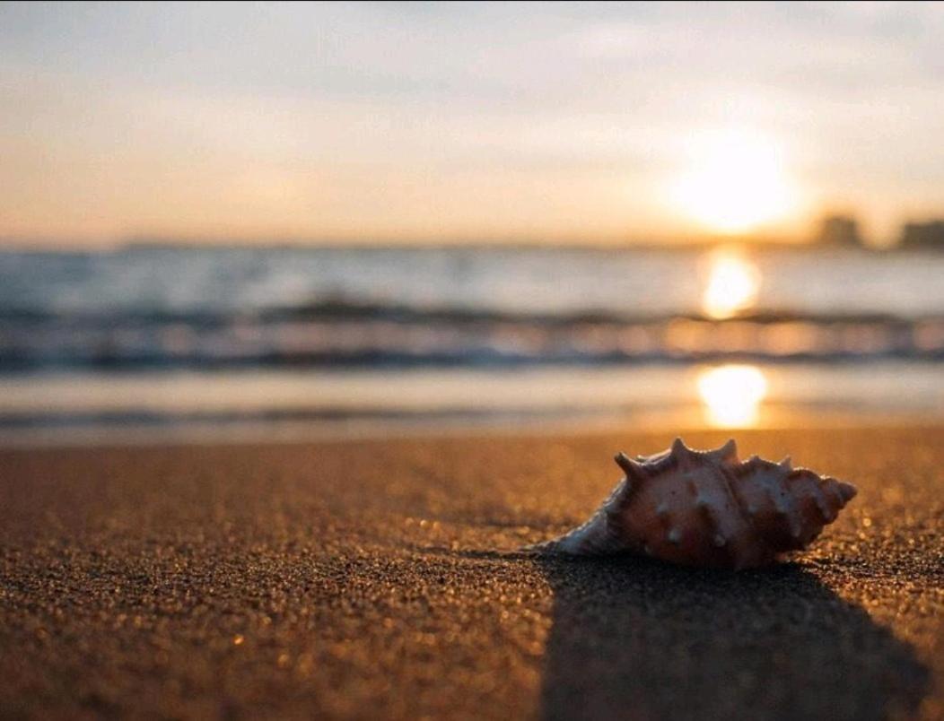 Huelin House Beach And Sun, Con Parking Y A 500 Metros De La Playa Apartment Malaga Bagian luar foto